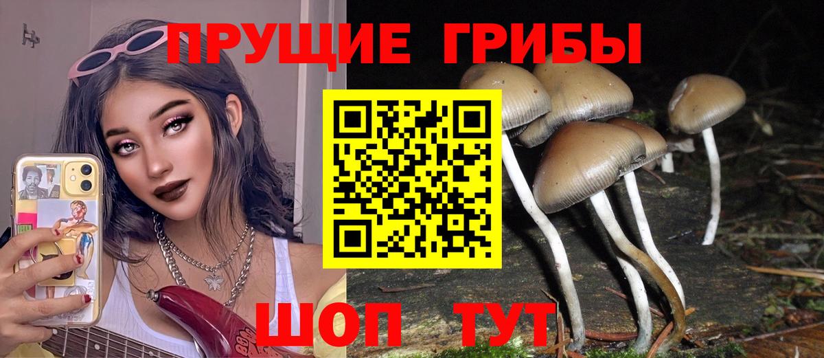 Галлюциногенные грибы мицелий  Вход с VPN  Псилоцибиновые грибы MAGIC MUSHROOMS  Пенза 